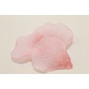 PETALES EN TISSUS Rose