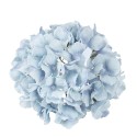 tete hortensia bleu ciel artificielle