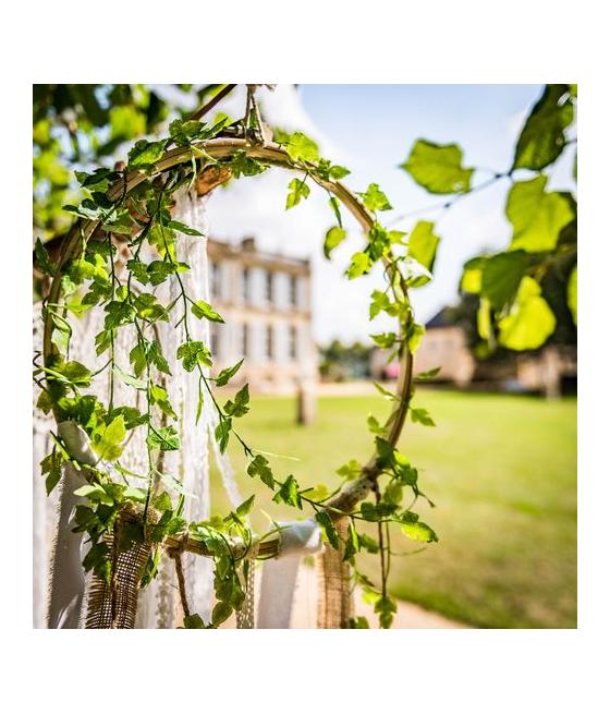 Descente de Lierre Dégradé de Vert