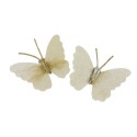 Papillon sur pince