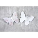 Papillon sur pince
